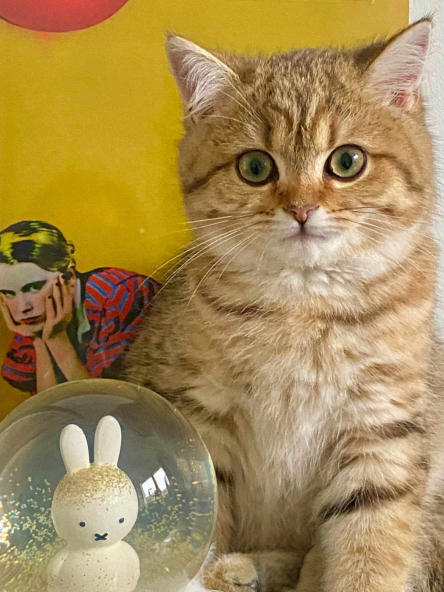 Verdi participe au concours pour gagner de l'argent avec cette photo : kitten, tabby_cat, cute, wide_eyes, fluffy, snow_globe, bunny_figure, yellow_background, pop_art, poster, indoor, pet, animal, close_up, portrait, feline, decor, toy, whiskers, curious