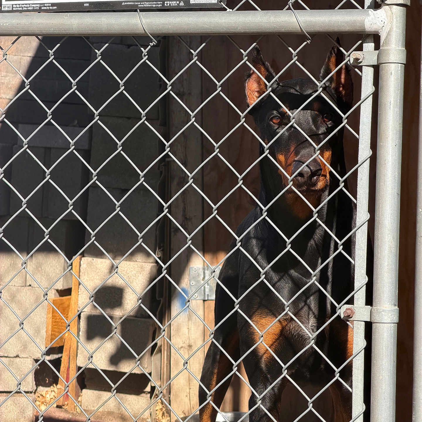Roxy