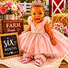 Chloe Orelus is registered to the contest to win money with this photo: baby, infant, child, pink_dress, crown, smile, flowers, farm, sign, wood, portrait, outdoor, grass, decor, shoes, cute, six_months, tutu, happy, sitting