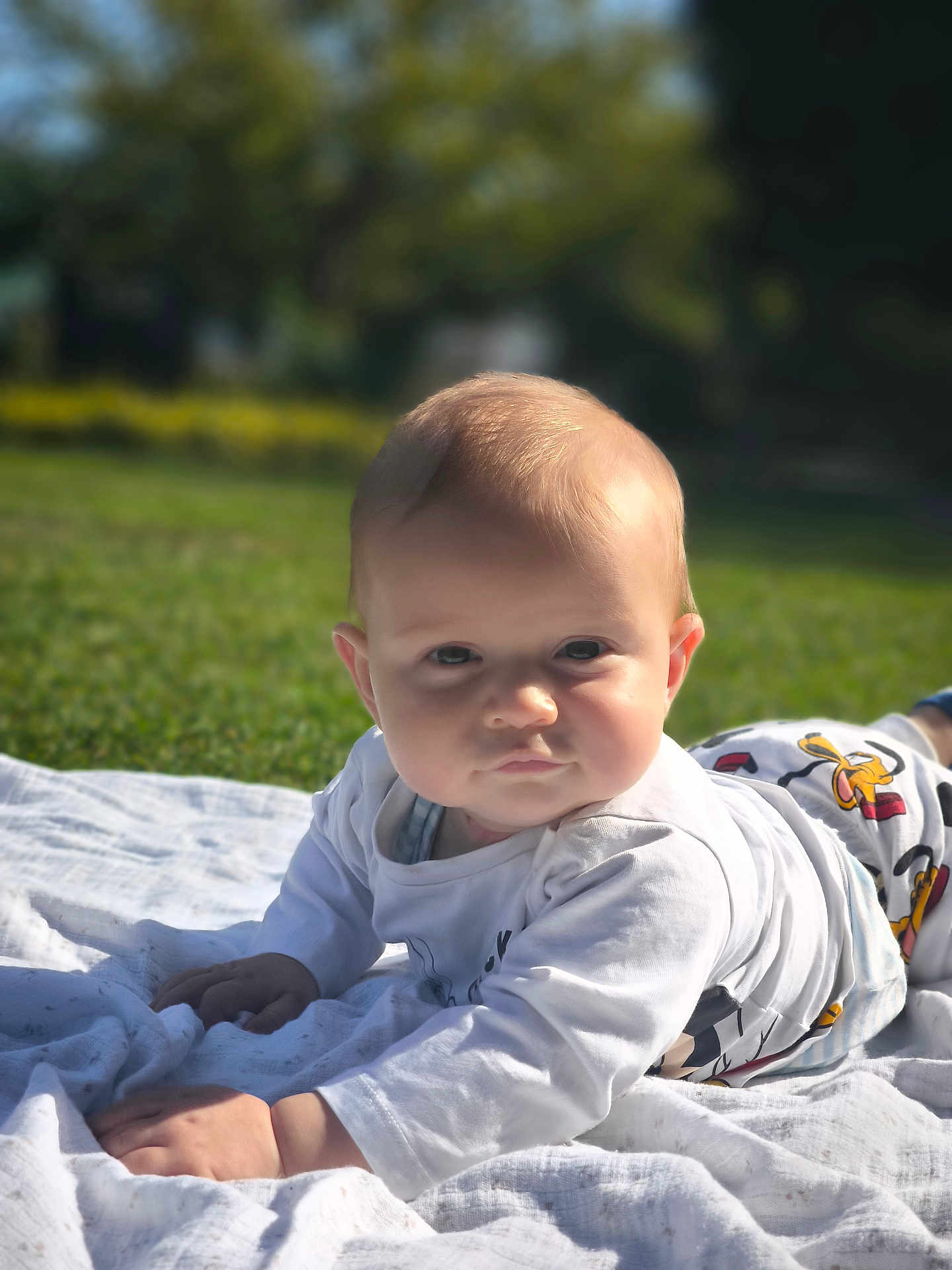 Daors joined the competition — help win amazing prizes! baby, infant, child, blanket, outdoor, grass, sunlight, face, head, clothing, cute, portrait, nature, daylight, toddler, lying_down, expression, young, people, park