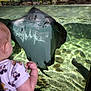 Daors is registered to the contest to win money with this photo: baby, child, mickey_mouse, onesie, stingray, aquarium, glass, water, rocks, underwater, fish, curious, animal, nature, reflection, light, shadow, swimming, closeup, exploration