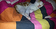 Craquotte participe au concours pour gagner de l'argent avec cette photo :