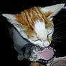 Craquotte participe au concours pour gagner de l'argent avec cette photo :