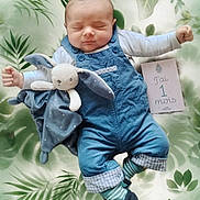 Ezio participe au concours pour gagner de l'argent avec cette photo : baby, infant, newborn, sleeping, one_month, blue_overalls, plush_bunny, soft_toy, socks, booties, milestone_card, green_leaf_background, portrait, peaceful, face, hands, legs, blanket, studio_style, cute