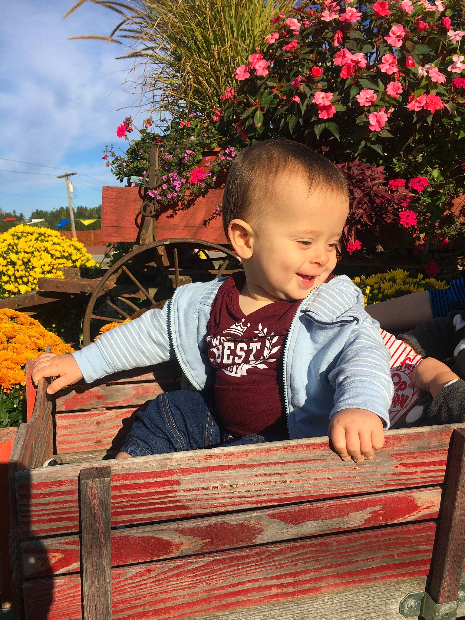 Braveyn is registered to the contest to win money with this photo: child, flower, happy, joy, leg, leisure, person, plant, sitting, smile, spring, toddler, vacation, wood