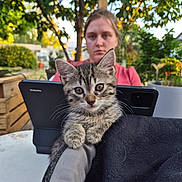 Bahia a rejoint le concours — aidez-le/la à gagner de superbes lots ! animal, blanket, cat, cute, daylight, focus, garden, greenery, kitten, leaves, nature, outdoor, person, pet, portrait, tabby, table, tablet, tree, wooden_furniture