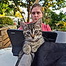 animal, blanket, cat, cute, daylight, focus, garden, greenery, kitten, leaves, nature, outdoor, person, pet, portrait, tabby, table, tablet, tree, wooden_furniture