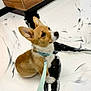 dog, puppy, corgi, pet, leash, collar, indoor, floor, marble, brown, white, black, cute, small, animal, canine, sitting, looking_up, ears_up, young