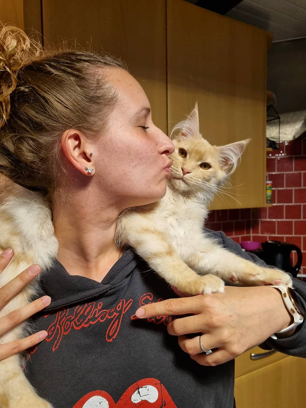 Sixteen participe au concours pour gagner de l'argent avec cette photo : arm, blond, carnivore, cat, domestic_short_haired_cat, ear, earrings, event, fawn, felidae, fur, gesture, hand, jewellery, lap, shoulder, skin, small_to_medium_sized_cats, watch, whiskers