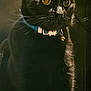 cat, black_cat, pet, animal, feline, collar, bell, close_up, yellow_eyes, indoor, curious, sitting, fur, whiskers, domestic_animal, portrait, looking, dark_background, blue_collar, alert