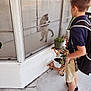 cat, boy, screen_door, porch, plants, potted_plants, backpack, sneakers, curious, window, standing, casual_clothing, outdoor, concrete_floor, home, reflection, plant_stands, shorts, shirt, daylight