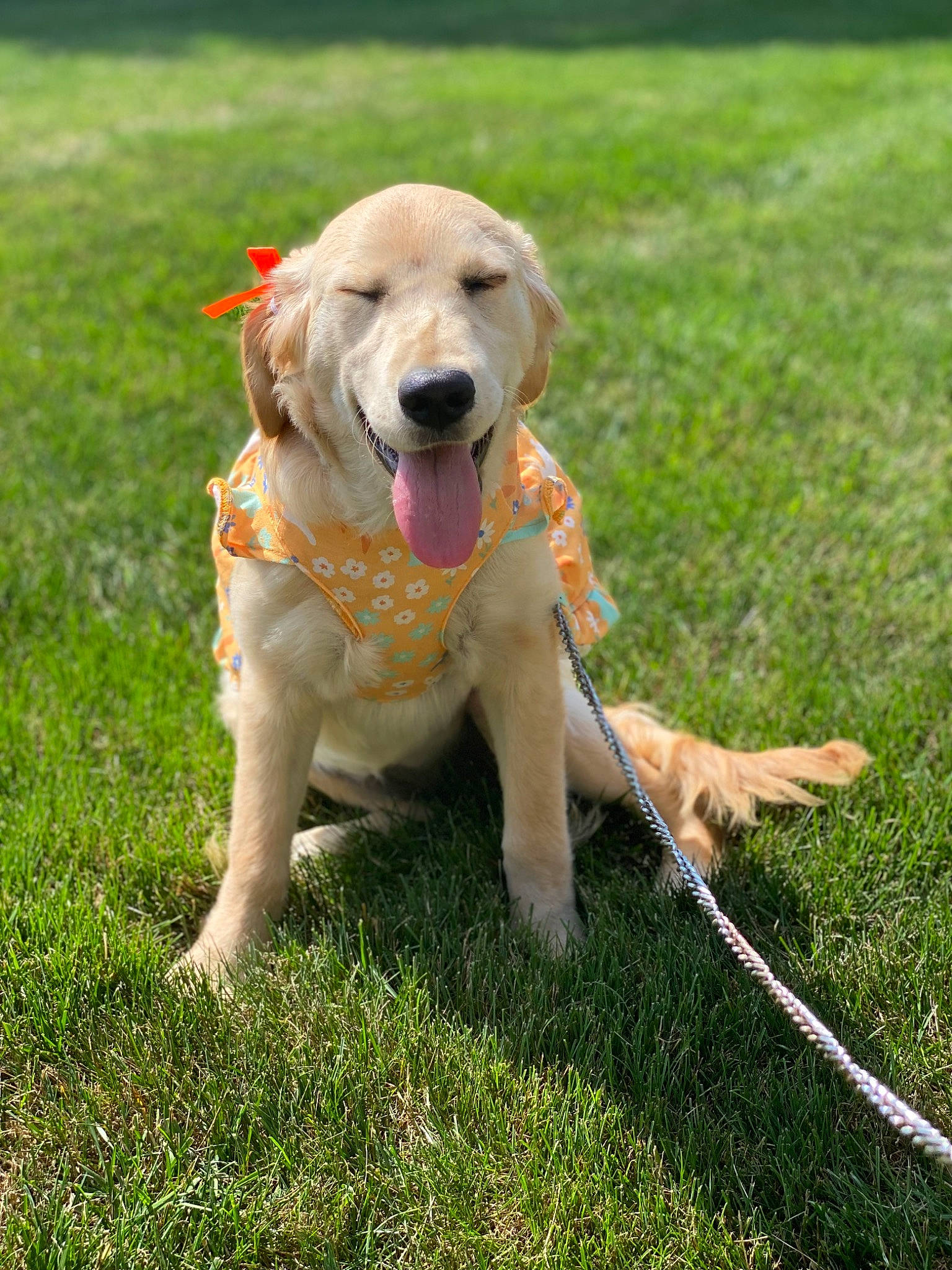Oakley