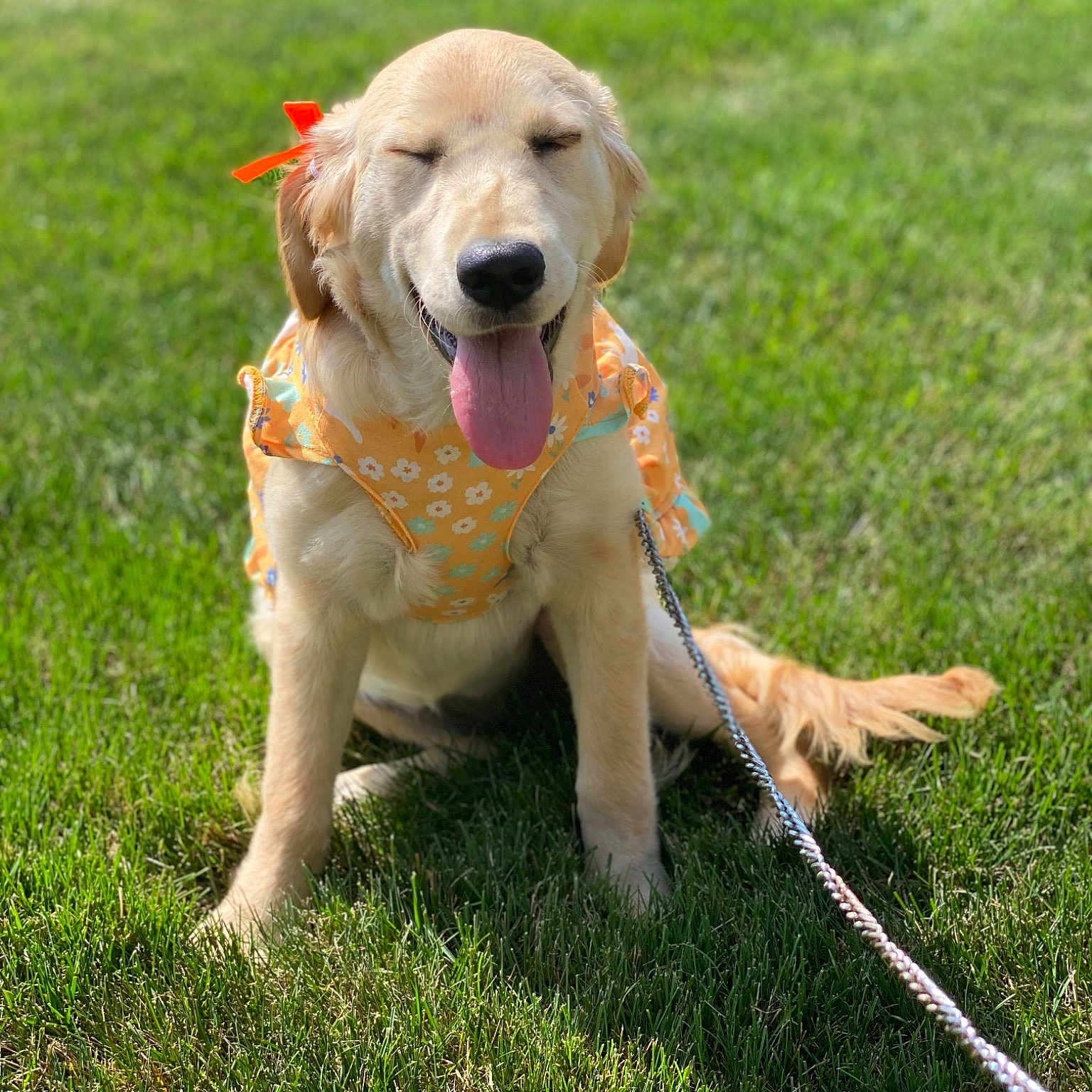 Oakley