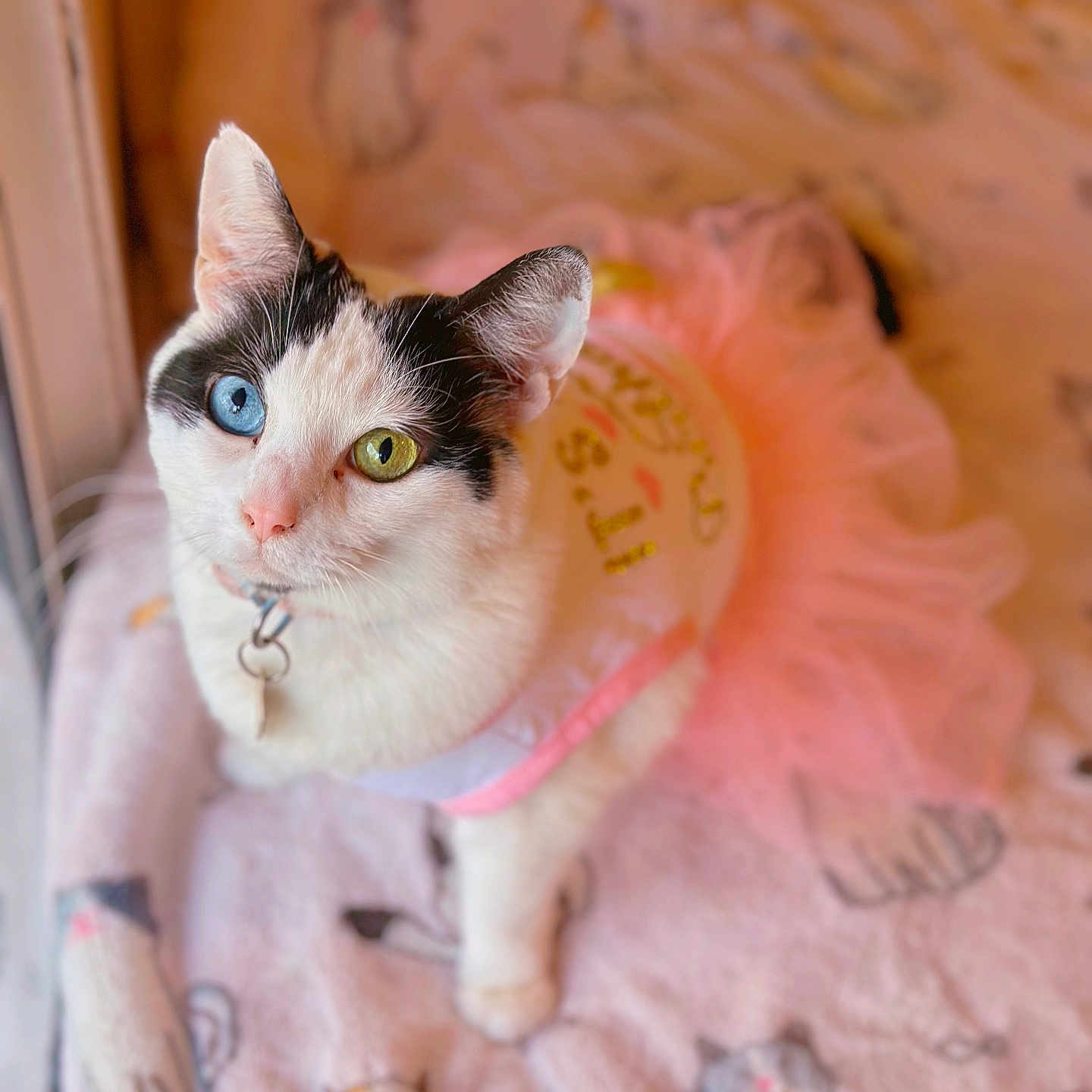 Minnie