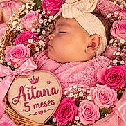 Aitana is registered to the contest to win money with this photo: baby, infant, sleeping, portrait, pink, flowers, roses, basket, headband, blanket, teddy_bear, newborn_photography, milestone, five_months, heart_sign, cozy, peaceful, floral_arrangement, close_up, studio_photo
