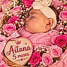 baby, infant, sleeping, portrait, pink, flowers, roses, basket, headband, blanket, teddy_bear, newborn_photography, milestone, five_months, heart_sign, cozy, peaceful, floral_arrangement, close_up, studio_photo