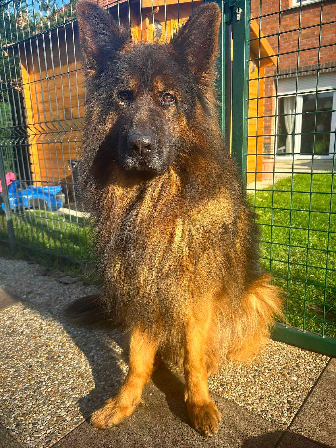 Diego
