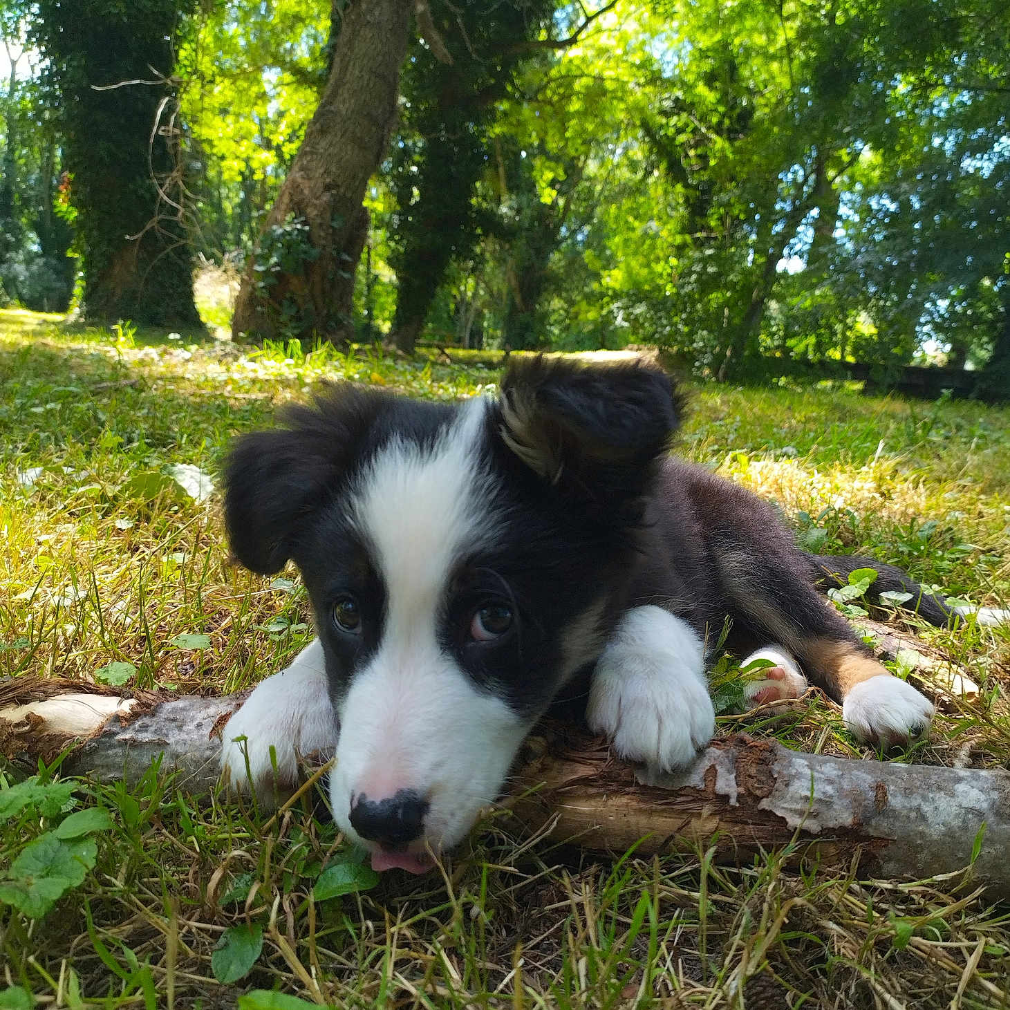 Doby
