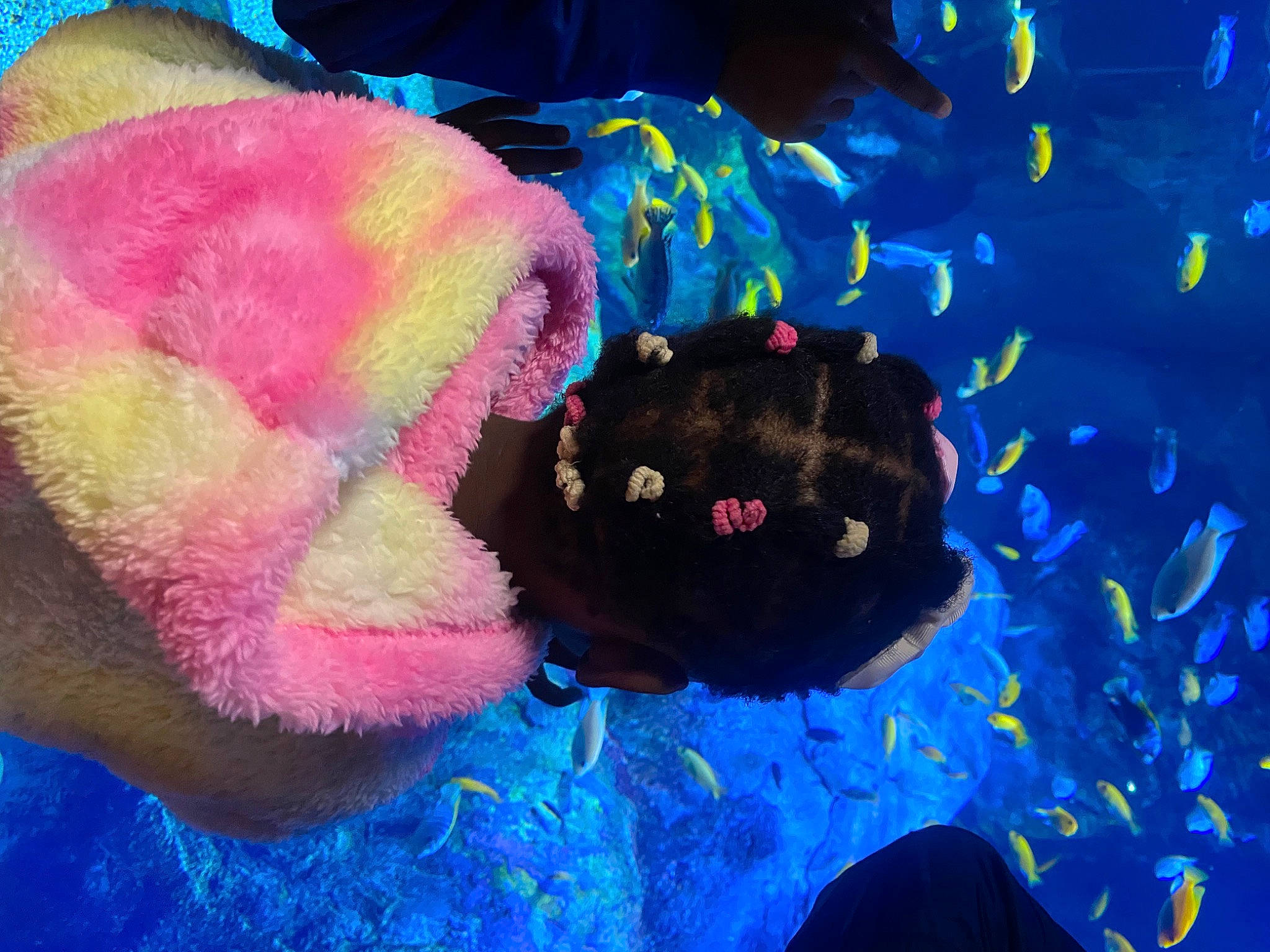 Chloé a rejoint le concours — aidez-le/la à gagner de superbes lots ! art, azure, beard, blue, cnidaria, coral_reef, electric_blue, fish, light, magenta, marine_biology, marine_invertebrates, organism, paint, person, petal, sunglasses, tree, underwater, vertebrate