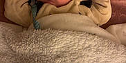Islem participe au concours pour gagner de l'argent avec cette photo : baby, sleeping, blanket, bed, cozy, infant, arms_up, face, peaceful, soft, comfort, clothing, texture, resting, child, indoors, cute, portrait, warm, toddler