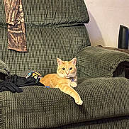 Hermes is registered to the contest to win money with this photo: armchair, ball, camouflage, cat, clothing, cozy, domestic_animal, fabric, furniture, household, indoor, jacket, living_room, mammal, orange_cat, paw, pet, relaxed, resting, textured