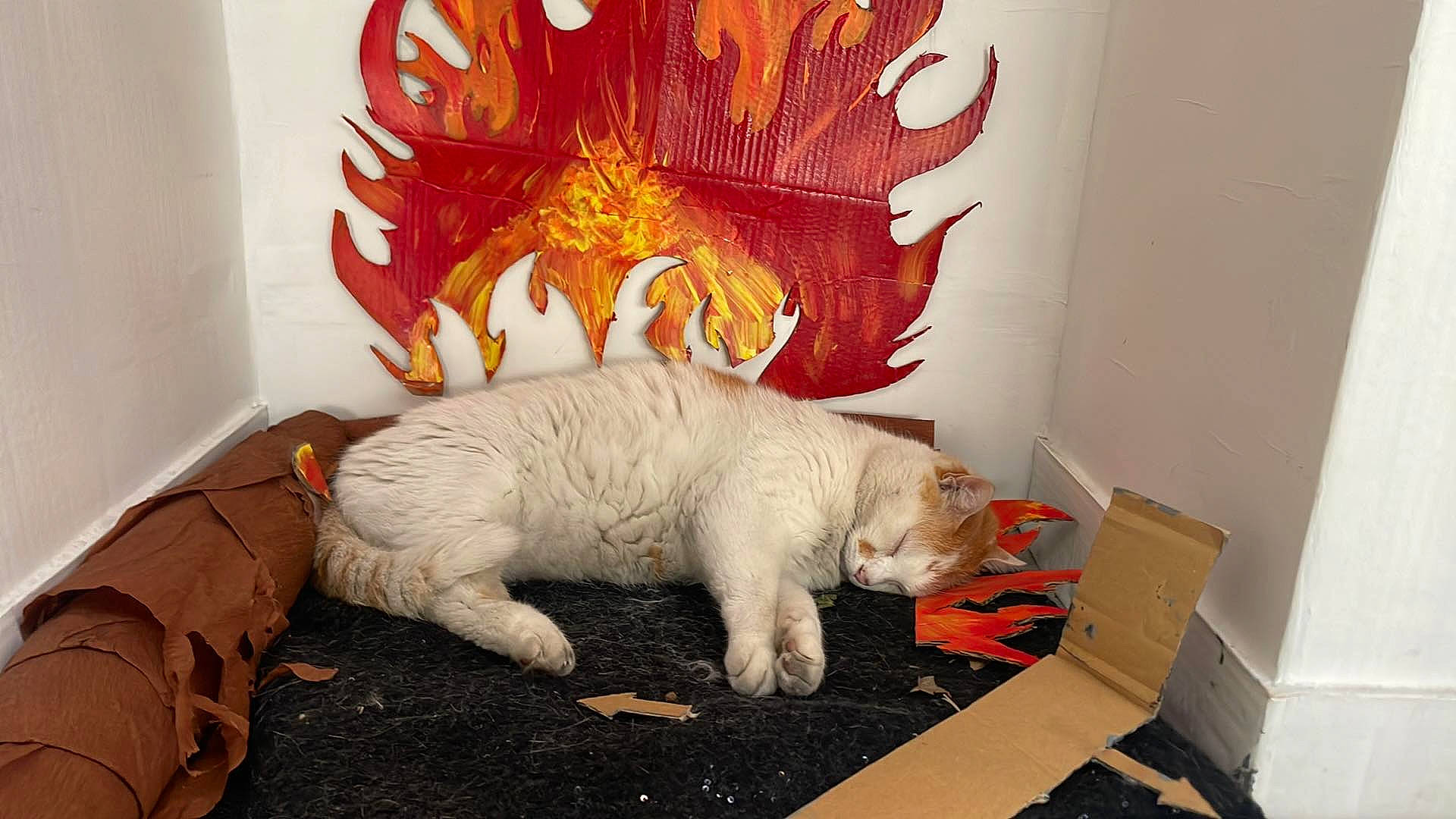 Caramel participe au concours pour gagner de l'argent avec cette photo : art, carnivore, cat, ceiling, event, felidae, fictional_character, flooring, fur, orange, paw, plaster, room, small_to_medium_sized_cats, stuffed_toy, tail, toy, visual_arts, whiskers, wood