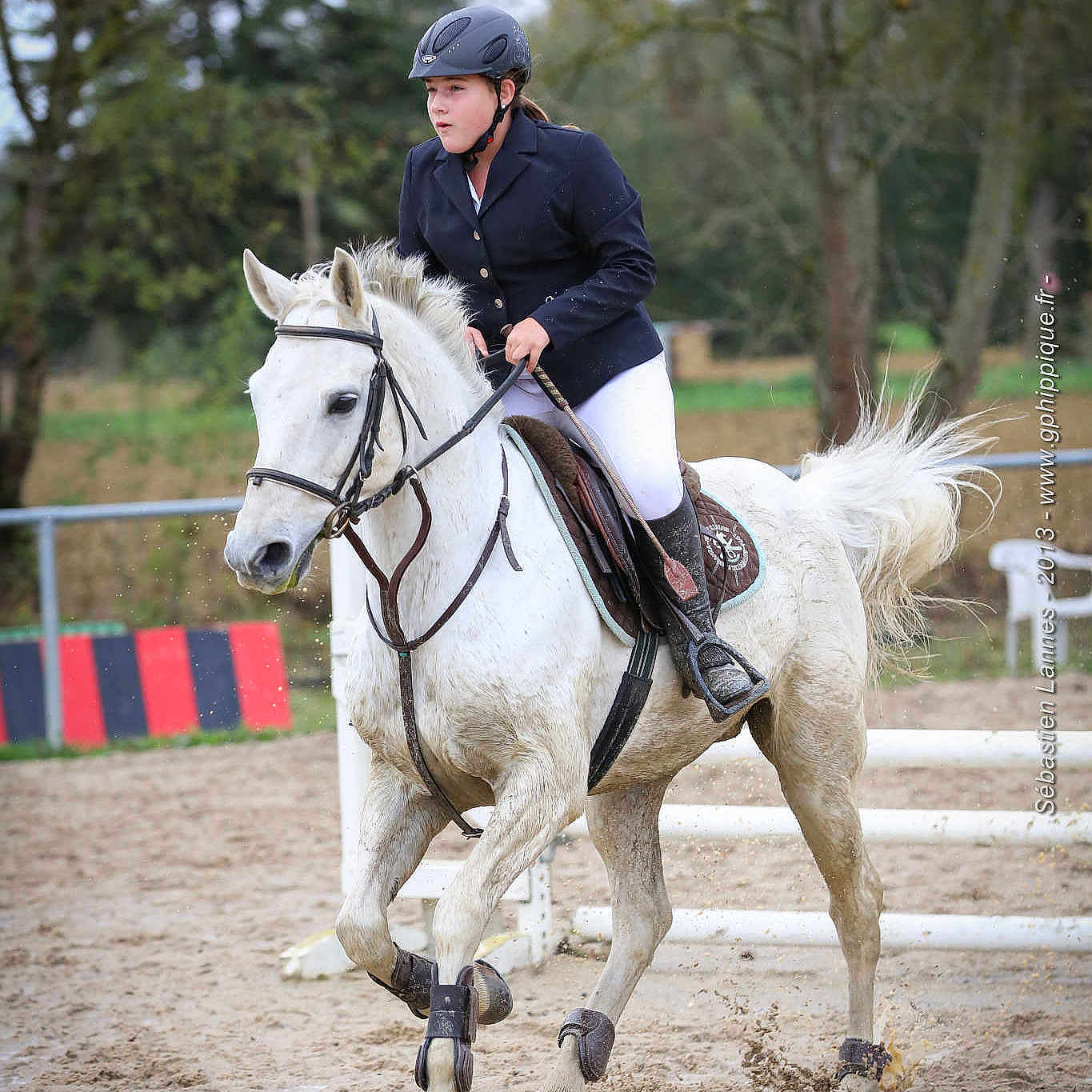Nobel du mardain a rejoint le concours — aidez-le/la à gagner de superbes lots !