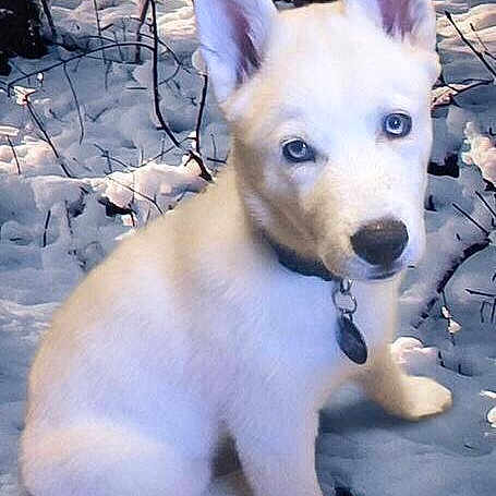 Ghost is registered to the contest to win money with this photo: