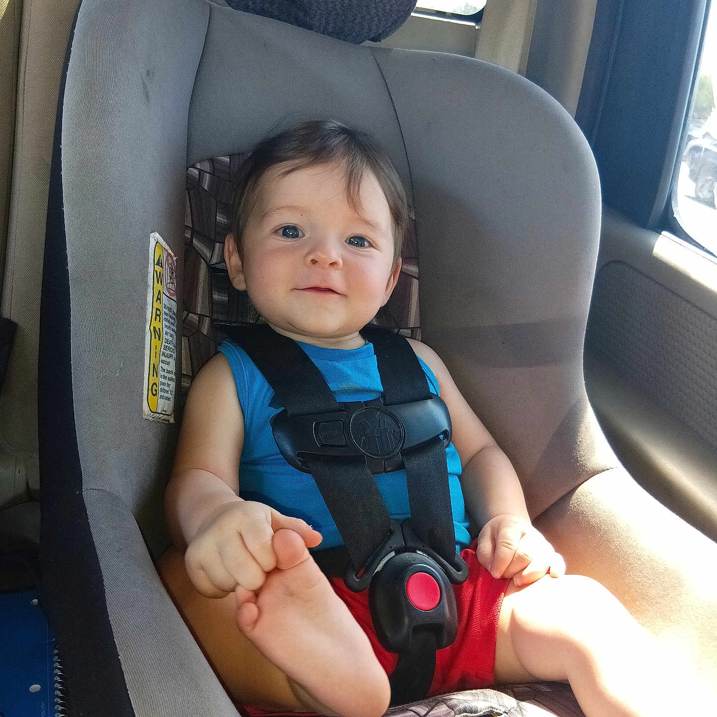 Jah'Mail is registered to the contest to win money with this photo: blue_shirt, car_interior, car_seat, child, face, foot, hair, hand, happy, indoors, person, playful, red_shorts, safety, seat_cushion, seatbelt, smile, sunlight, toddler, window