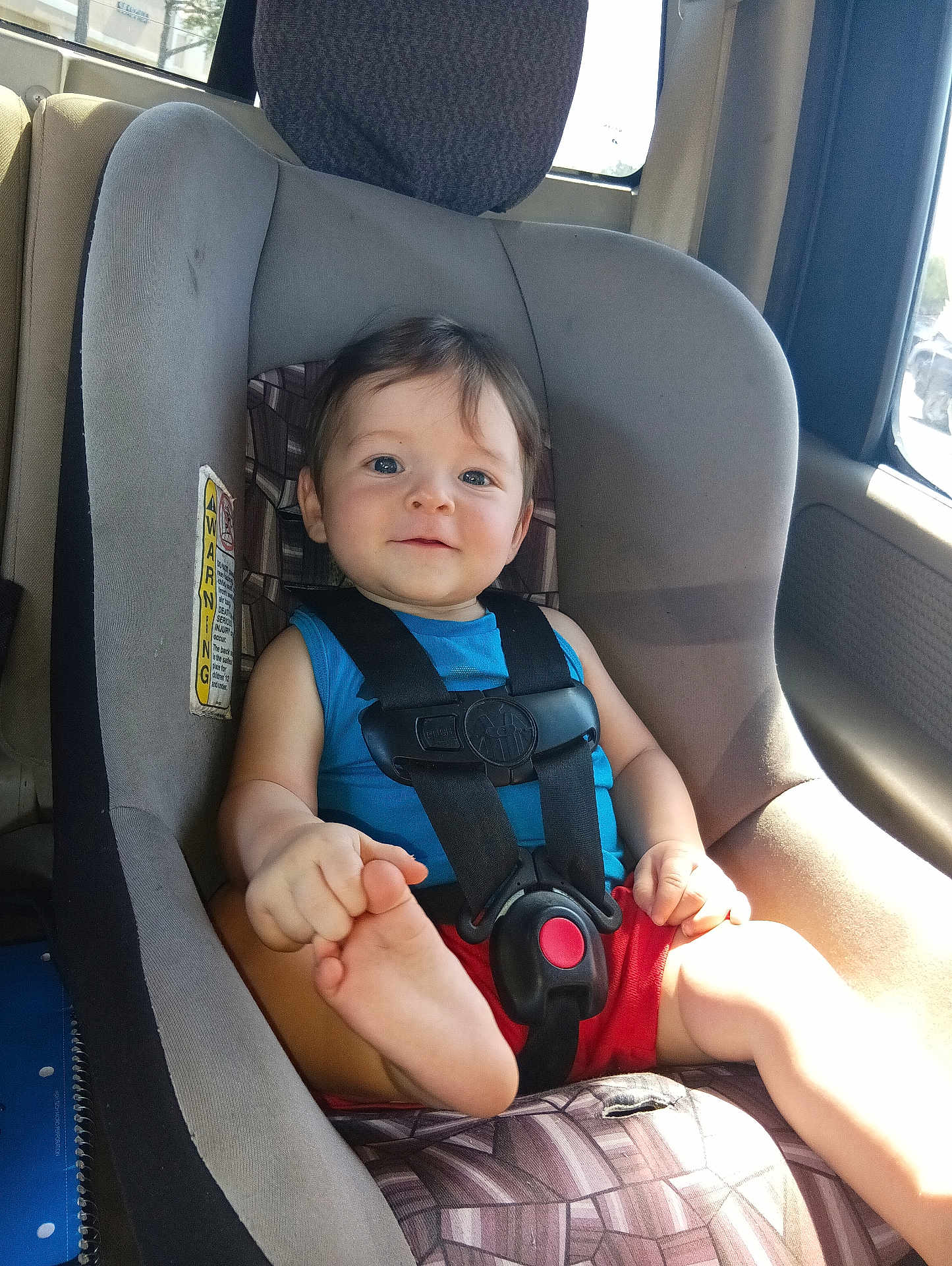 Jah'Mail is registered to the contest to win money with this photo: blue_shirt, car_interior, car_seat, child, face, foot, hair, hand, happy, indoors, person, playful, red_shorts, safety, seat_cushion, seatbelt, smile, sunlight, toddler, window