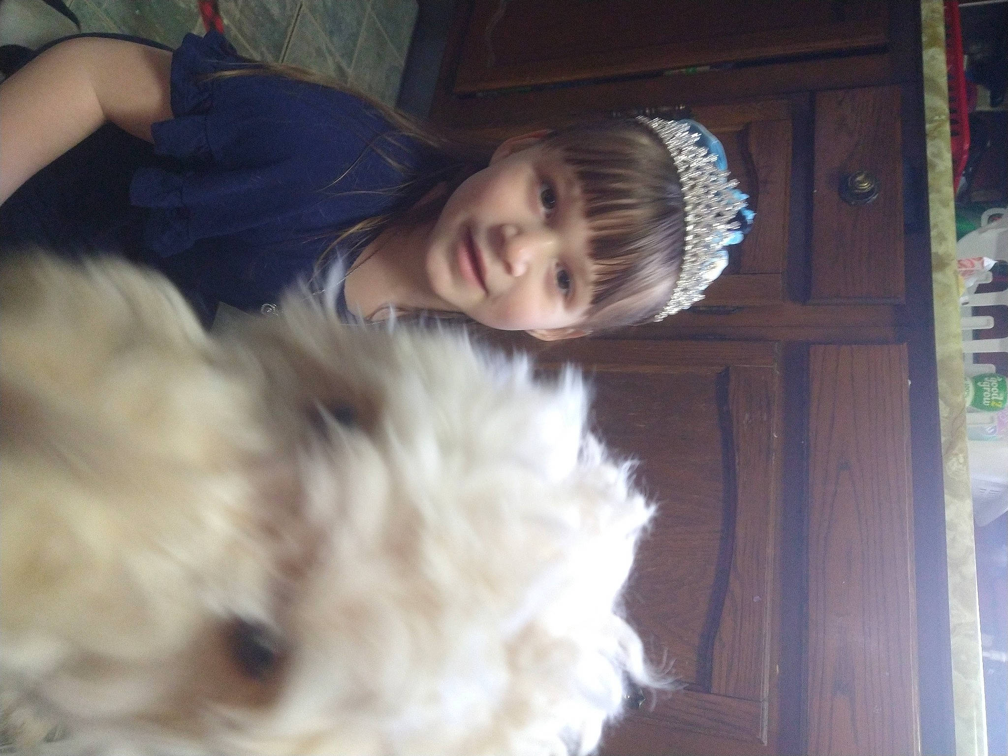 Lilliana joined the competition — help win amazing prizes! beauty, black_hair, carnivore, companion_dog, dog_breed, ear, felidae, flash_photography, fun, fur, fur_clothing, happy, nose, person, room, small_to_medium_sized_cats, smile, sporting_group, textile, toy_dog