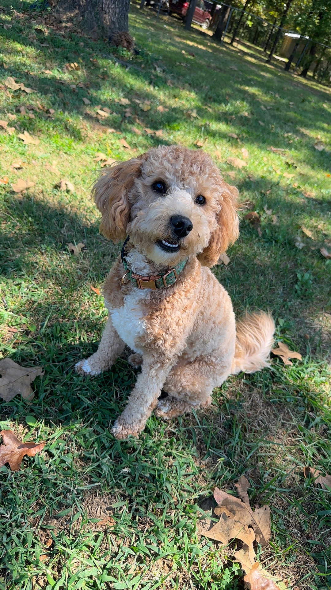 Mallie