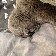 Lfils a rejoint le concours — aidez-le/la à gagner de superbes lots !