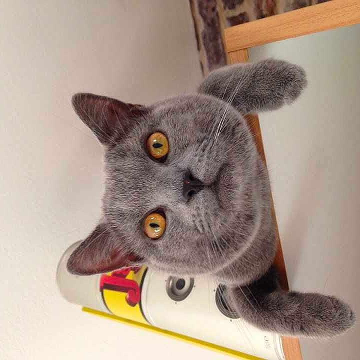 Lfils a rejoint le concours — aidez-le/la à gagner de superbes lots !