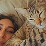 Athena participe au concours pour gagner de l'argent avec cette photo : cat, tabby_cat, person, face, close_up, indoor, resting, cozy, snuggling, feline, pet, animal, couch, relaxed, sleepy, fur, whiskers, ears, comfort, home