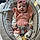 Paisleigh