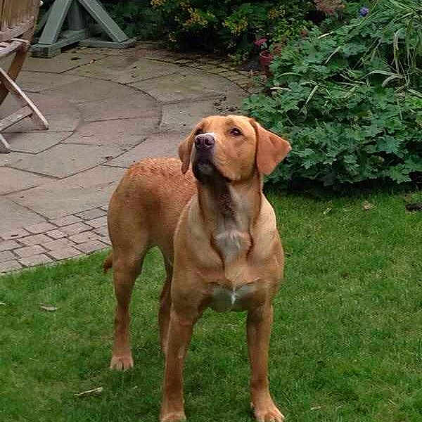 Brocco joined the competition — help win amazing prizes!