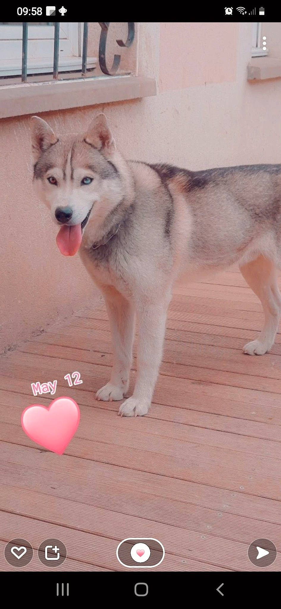 Niro