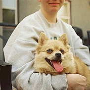 Gladys is registered to the contest to win money with this photo: dog, person, smiling, happy, outdoor, chair, sweatshirt, pet, animal, tongue_out, fur, cute, companion, relaxed, holding, portrait, daylight, home, friendly, canine