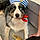 Riley