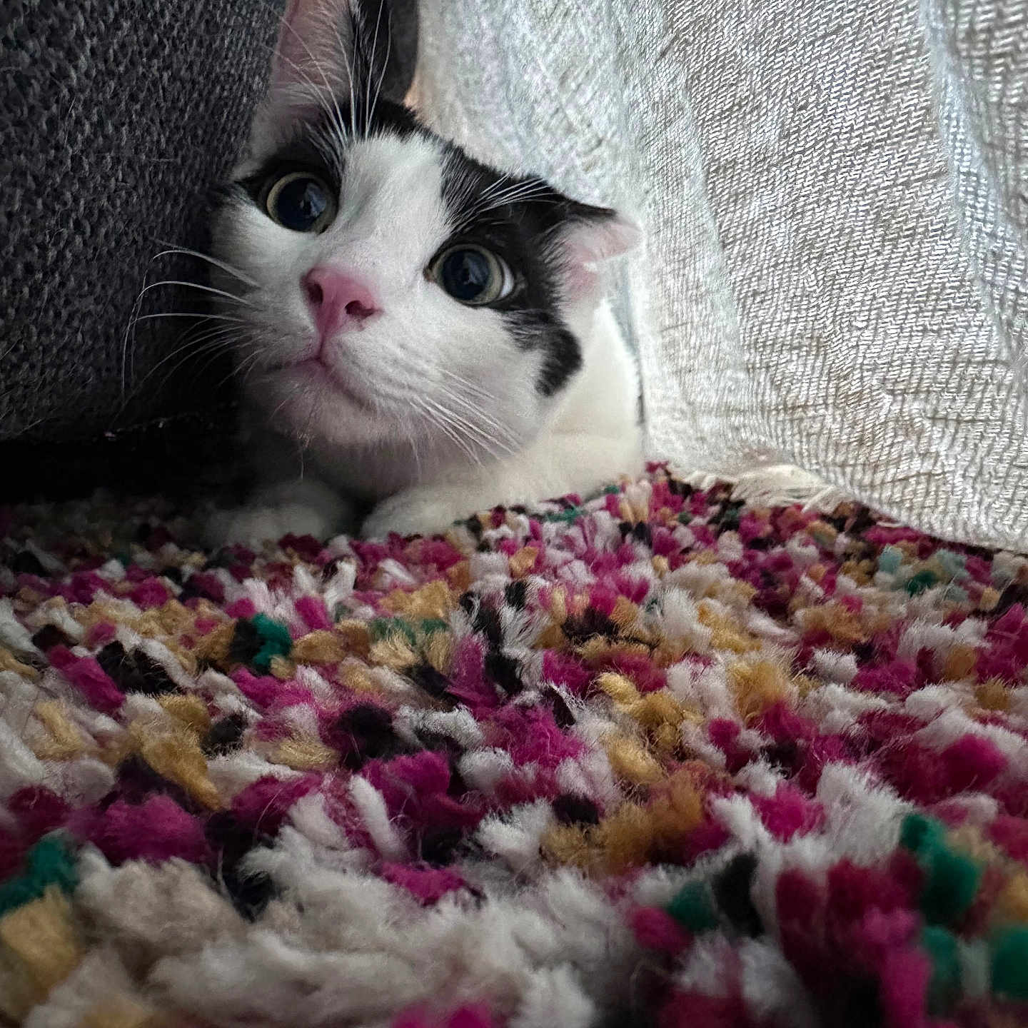 Milka