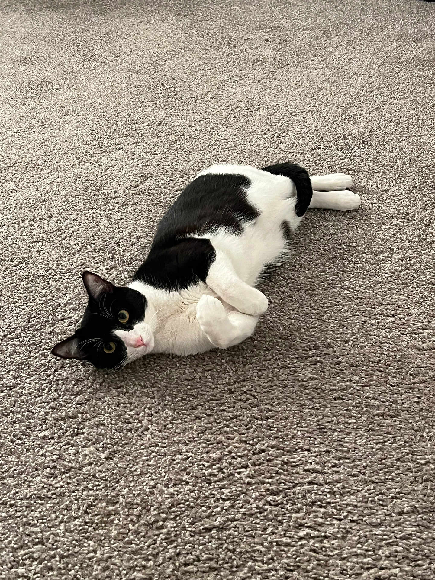 Tux