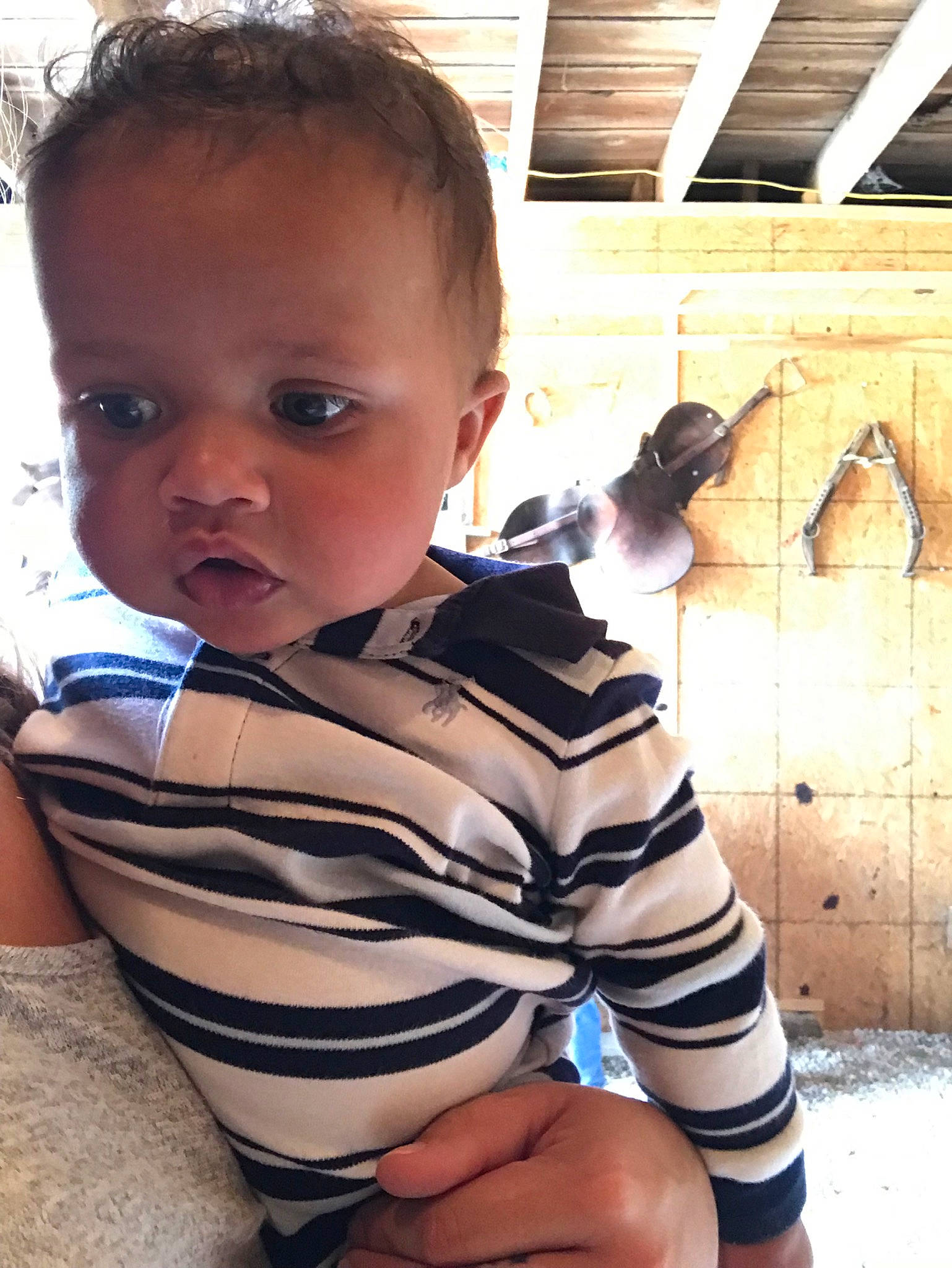 Abram is registered to the contest to win money with this photo: abdomen, arm, baby, black_hair, cheek, child, cool, eye, face, finger, hand, head, joint, leg, neck, person, skin, thigh, thumb, toddler