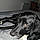 Roxy