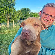 Marie-Cecile participe au concours pour gagner de l'argent avec cette photo : animal, beard, casual_clothing, daylight, dog, friendship, glasses, grass, greenery, happy, holding, leisure, man, nature, outdoor, pet, portrait, relaxation, sky, tree