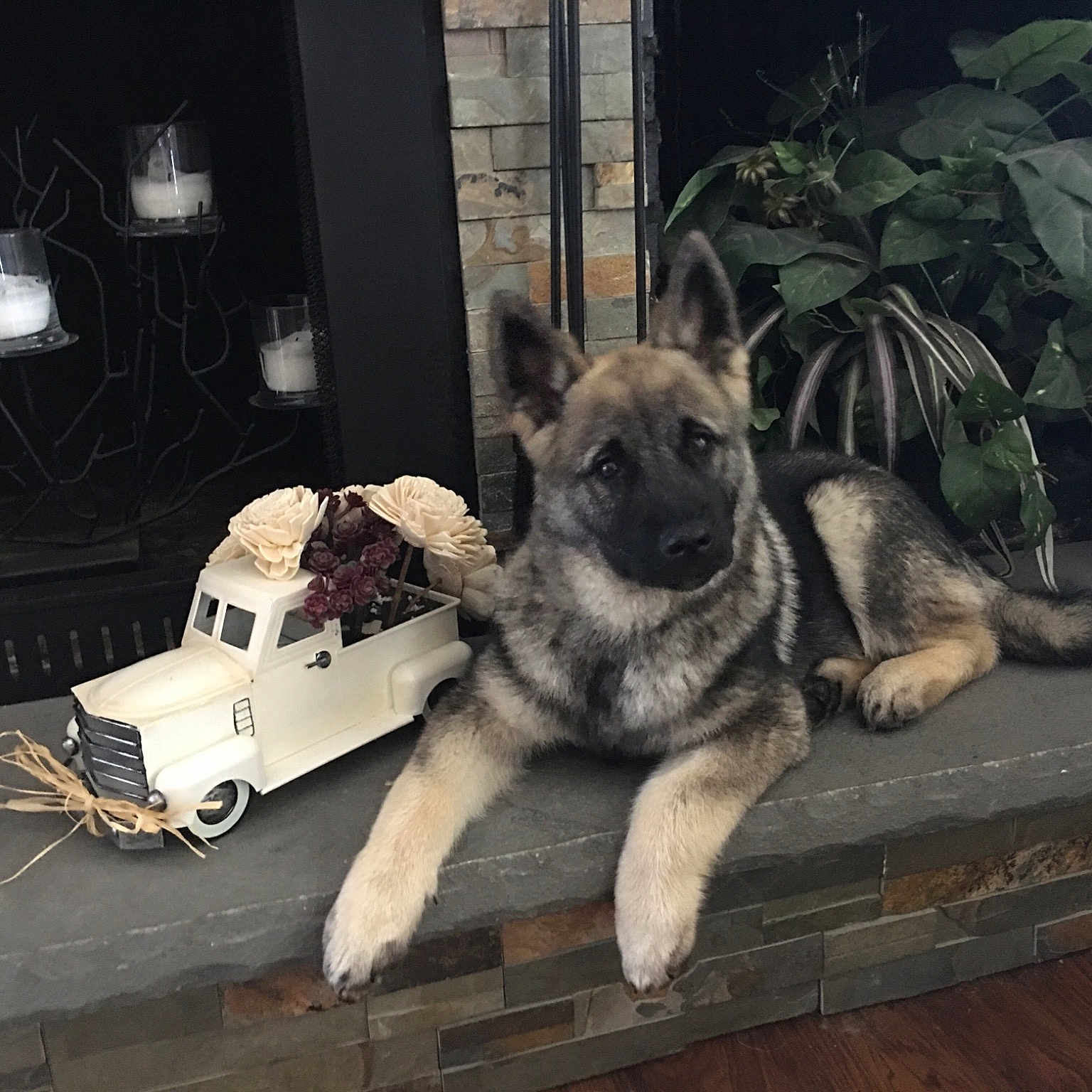 Bo
