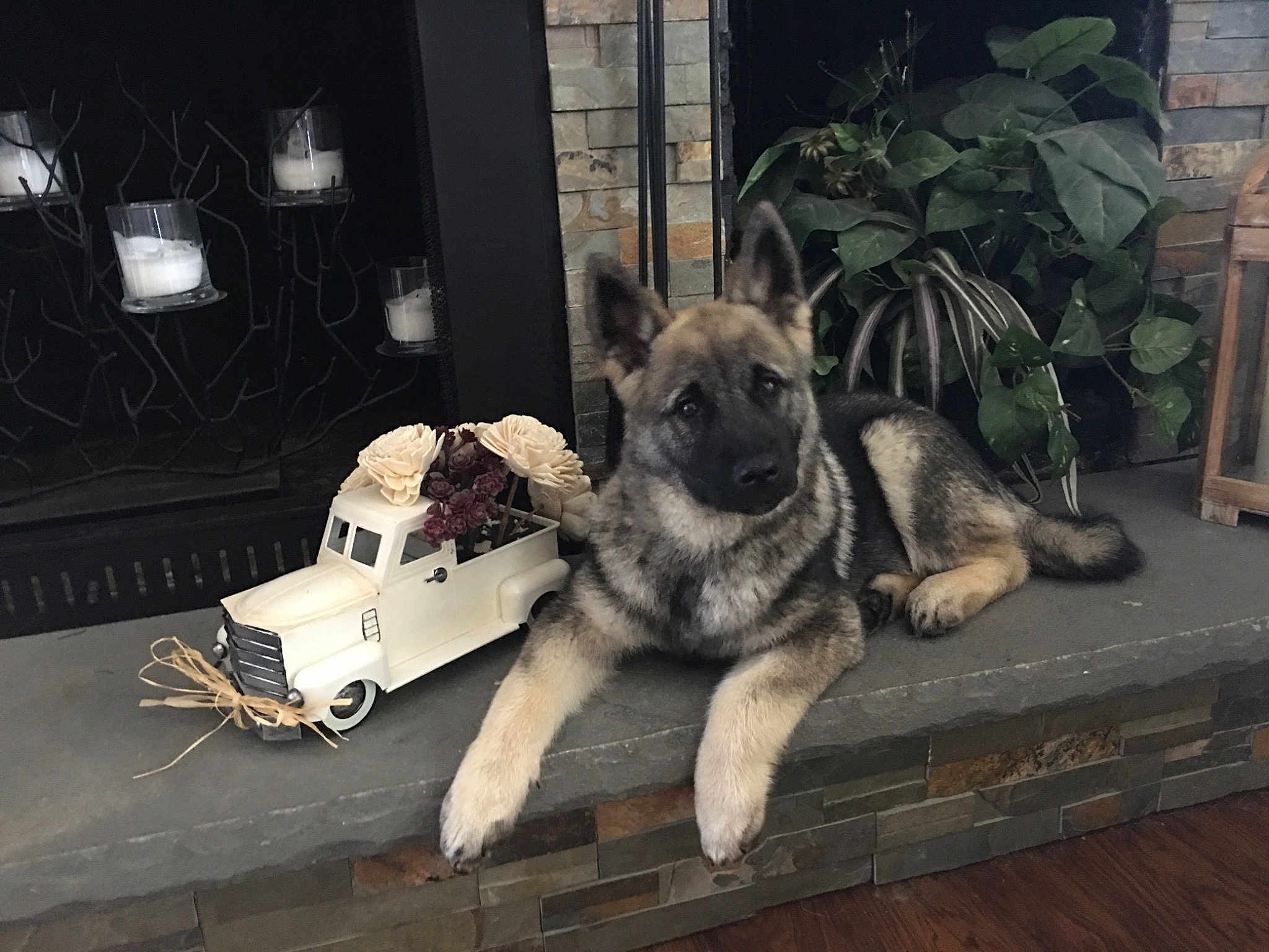 Bo