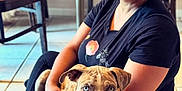 Cosmo is registered to the contest to win money with this photo: woman, dog, indoor, glasses, black_shirt, floral_pattern, tile_floor, seated, brown_dog, blue_eyes, furniture, table, chair, pet, casual, portrait, home, floor, cute, human_animal_interaction