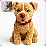 dog, plush_toy, stuffed_animal, red_collar, white_background, inset_photo, real_dog, puppy, cute, toy, brown, ears, nose, sitting, pet, animal, portrait, front_view, soft, fur