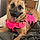 Lilah